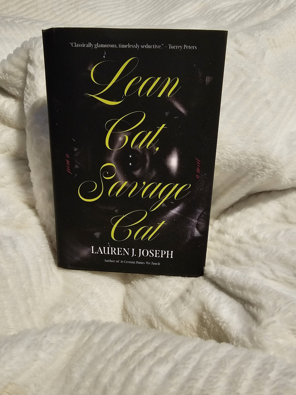 Lean Cat, Savage Cat by Lauren J. Joseph - Black Cover with Yellow Script
